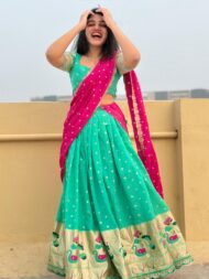 Paithani Lehanga - Image 2